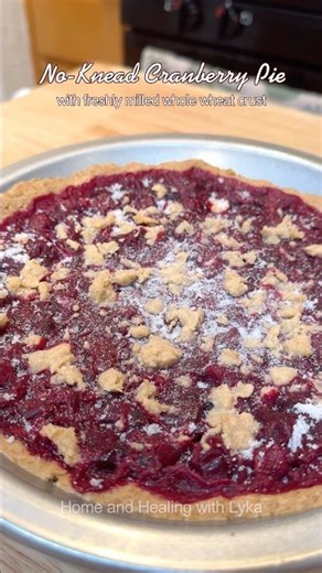 Full recipe in description:No-Knead Cranberry Pie w/ Freshly Milled Whole Wheat Crust #recipe #pies