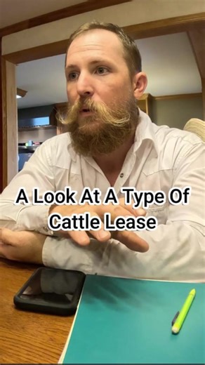 Faith and Joey Anderson from Smiling Bovine Ranch talk about an example cattle lease that can be used to operate, while discussing their beginnings and expansion to the new headquarters for the current cow / calf operation. Clipped from the full video on YouTube #smilingbovine #smilingbovineranch #ranch #ranchlife #ranching #ranchtok #ranchlifestyle #ranchliving #farm #farmlife #farmlifeisthebestlife #farming #missouri #cow #cows #cattle #workingcows #cattleranch #cattlemarket #animalhusbandry #