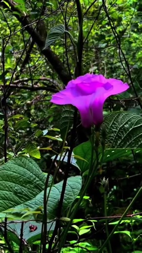 Exploring the Cave Camp Experience