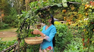 Nhung Ha Cuoc Song My on Reels