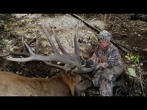 An Elk For Austin (Hunt of a Lifetime)