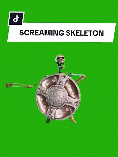 Skeleton Guard Green Screen Meme Template