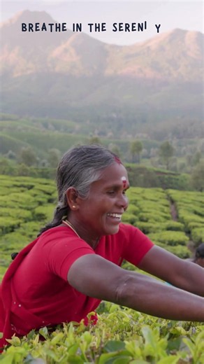 Kerala – God's Own Country || Best Places to Visit in Kerala ||