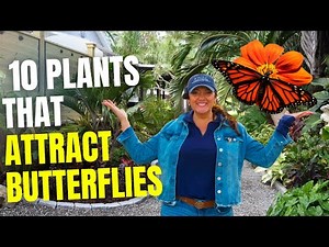 10 Plants To Attract Butterflies To Your Garden Best Plants For Butterflies