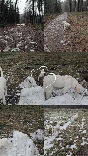 Goodbye snow.... hello spring soon!