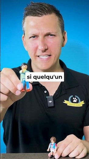🗣️ CRIER pour qu’il obéisse, c’est la PIRE chose à faire !