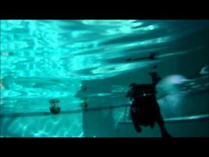 Black Labrador Retriever Puppy Playing In Pool