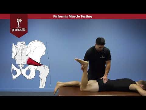 Piriformis Muscle Test Palp Dr VIzniak Muscle Manual
