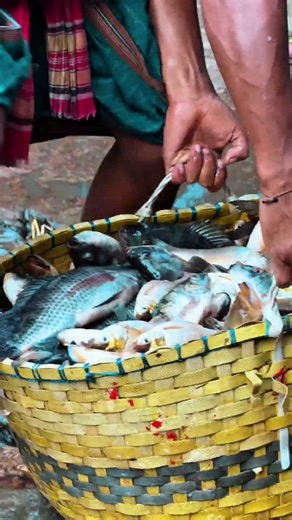 Live Fish Market Experience 🎣 #FreshCatch #SeafoodMarket #localmarket