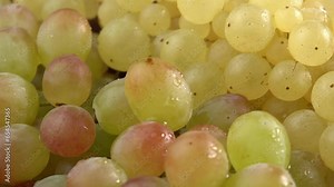 Fresh grape of different varieties berries rotating as a background. Grape close up, concept winemaking, wine production, vine variety