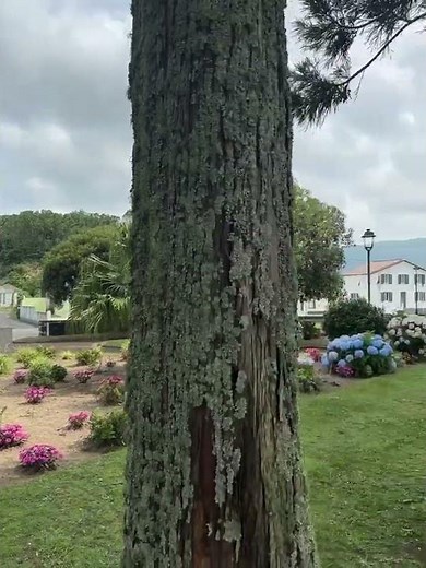 Exploring Rural Scenery, Sete Cidades, Azores, Destination Services Portugal from Travis P. 🇵🇹