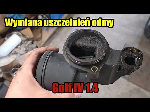 Wymiana uszczelnień odmy Golf IV - 1.4
