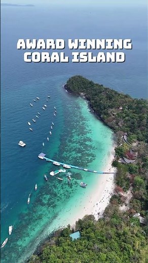 Complete Guide to Coral Island