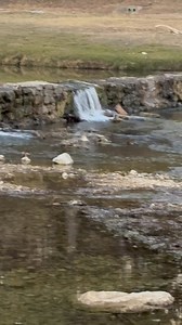 ONLY IN SALADO (Chapter 2796): My comments submitted to TCEQ on Wastewater Discharge Permit Application WQ0016658001 (Reserve at Salado Creek - 700,000 gallons of discharge per day). I'm no water quality expert, but tried to educate myself and you're welcome to use all, a portion, or none of the below - you may comment to TCEQ until midnight tonight. Public Meeting at 7 pm this evening at the Salado ISD Administration Building, 601 North Main Street - here in Salado. ••••••••••••••••••••••••••••