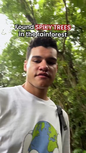 the fruits from these trees also explode 😃💥