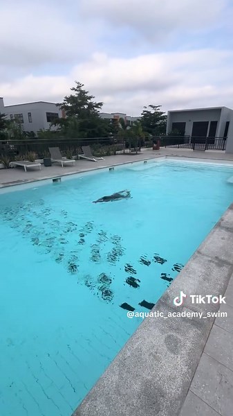 Aquatic Academy Swim Services Overview