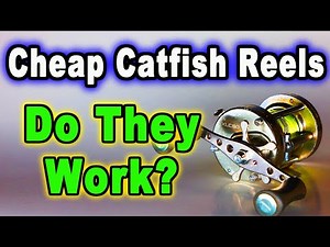 Pro's and Con's of Cheaper Catfish Reels