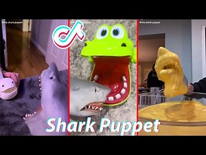 Funny Shark Puppet TikTok 2022 - Best The Shark Puppet TikTok Video Compilation Shark Puppet