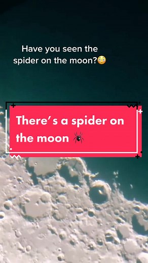 Exploring the Spider on the Moon: A Unique Discovery