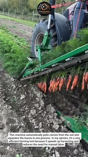 Automatic Carrot Harvesting and Leaf Separation Machine