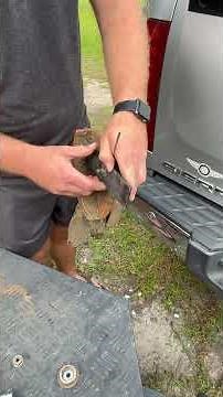 Stihl Edger Blade Tutorial