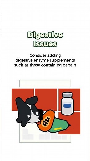 How to Stop Your Dog From Eating Poop