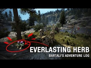 How to Gather Everlasting Herb (Bartali's Adventure Log Quest)