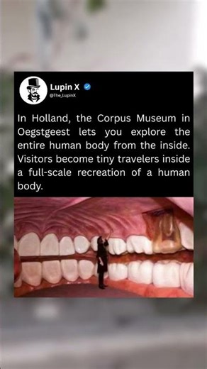 Corpus Museum in Holland: Walk Inside a Giant Human Body and Explore Every Organ Up Close