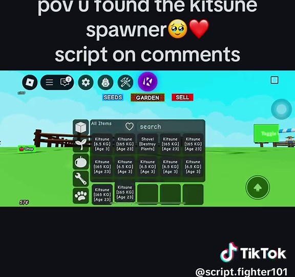 Script.fighter101 on TikTok