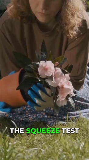 Stop Killing Your Plants! Do This 5-Second Soil Test First