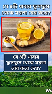 291K views · 2.9K reactions | যে ৪টি খাবার ফুসফুস থেকে ময়লা বের করে দেয়  #reelsfb #foryoupage #tips #food #viralreels #reelsvideo #reelsviral #Reels #fyp #trendingreels | World Data Knowledge | Facebook