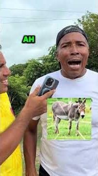 Remedacion de los animales taizo hizo gosar
