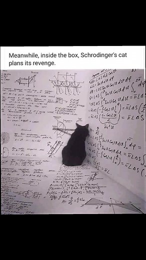 Schrödinger's cat is a famous physics thought experiment, which presents a paradox in which a cat in a box is somehow simultaneously both alive and dead. #schrodingerscat #deadandalive #bigbangtheory #theoccultmeaningofmasonry #pillarbookpublishing