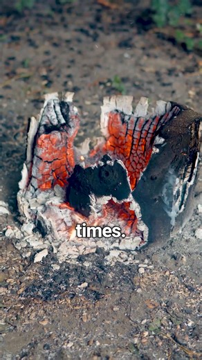 24K views · 40 reactions | Addicted2Success on Reels | Facebook