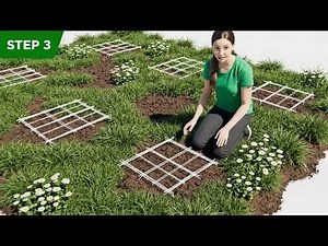 To study the ecosystem byusing sampling technique(Quadrat method) | Exp. 7 Bio 40%