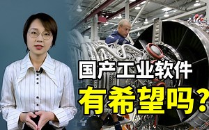 谁是压垮国产工业软件的最后一根稻草？