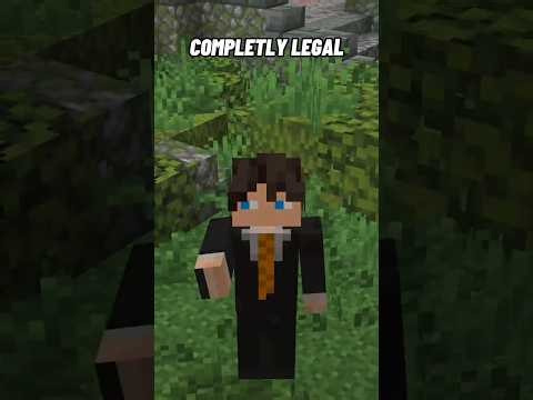 How To Find Bases On Donut SMP With New Glitch Meta