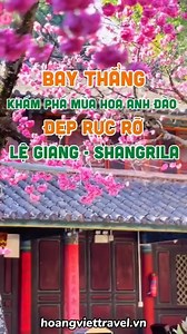 2.3K reactions · 81 shares |  TOUR LỆ GIANG MÙA HOA ANH ĐÀO (100% NO...