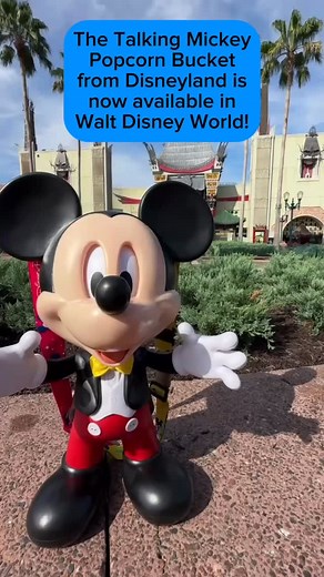 The Talking Mickey Mouse popcorn bucket from the Disneyland for the 70th Anniversary Celebration is now available at Walt Disney World! Mickey is voice-activated and will blink his eyes as well as turn his head from side to side when prompted by phrases such as “Hey, Mickey” and “Hello, Mickey!” Would you buy this? Let us know in the comments! • #disneyparks #waltdisneyworld #disney #disneyworld #wdw #disneymerch #disneymerchandise #disneyfood #popcorn #popcornbucket #mickeymouse #disneypopcornb