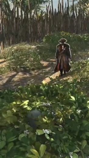 I'll get right on that! #assassinscreed #assassincreedblackflag #shorts