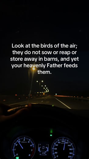 Matthew 6:26 Look at the birds of the air; they do not sow or reap or store away in barns, and yet your heavenly Father feeds them. Are you not much more valuable than they?