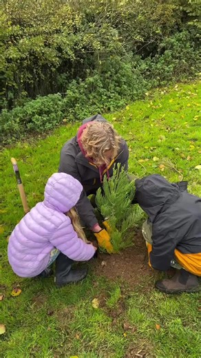 As winter starts to thaw and the days get longer, we prepare for our annual walk through of all our Giant Sequoias planted (over 2000 to date) across our sites – to ensure they have survived he winter, and if any need replacing to do so before the growing season starts. We can’t wait to get on the hillside – just a few more weeks to go! #planting #sequoia #nature #forest