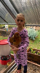 138 reactions · 200 shares | Did your chickens stop laying? When your...