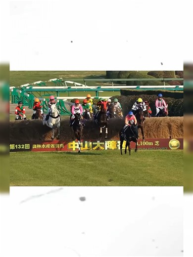 害レースの魅力とオジュウチョウサンの名勝負