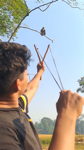 hawk hunting 🤫🤫 #funny