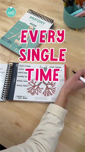 Top Tips for Anatomy & Physiology