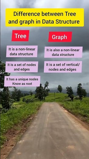 Tree vs Graph: Key Differences Explained