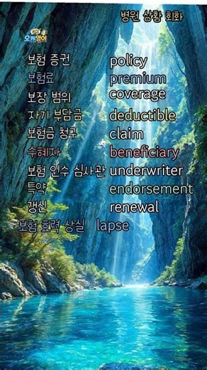 "보험 문의 " 에서 사용할 영단어 / 단어영어 /병원 상황 회화 활용 영어단어 #기초영어 #영어단어 #영단어500 #영단어1000 #영어왕초보 #korean