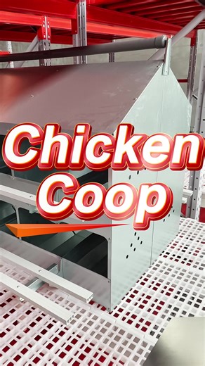 Automatic feeding system #chickens #farming #poultryfeedingsystem #chick #chickencoop