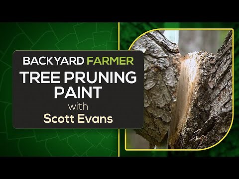 Tree Wound Paint: When to Use It (and When NOT to)